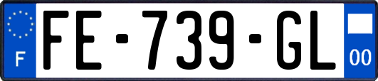 FE-739-GL