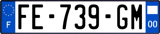 FE-739-GM