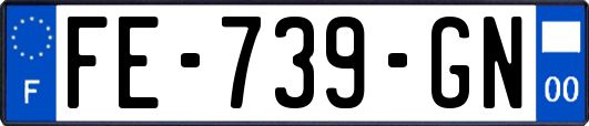 FE-739-GN