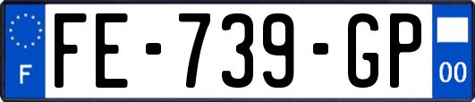 FE-739-GP