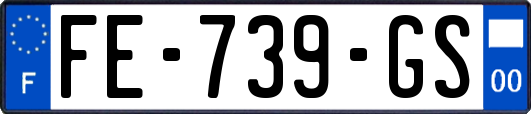 FE-739-GS
