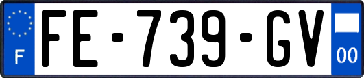 FE-739-GV