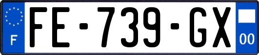 FE-739-GX