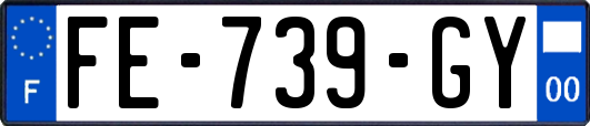 FE-739-GY
