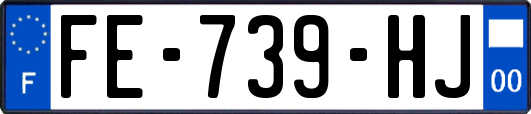 FE-739-HJ