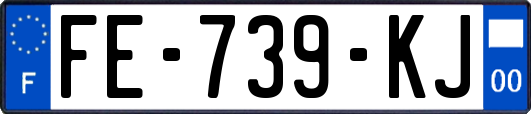 FE-739-KJ