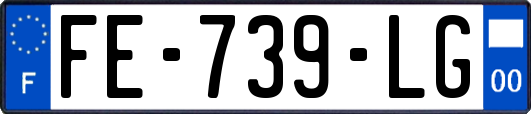 FE-739-LG