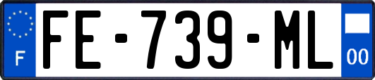 FE-739-ML