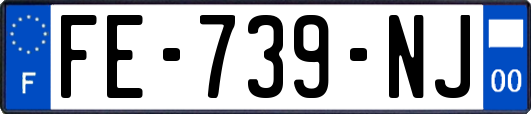 FE-739-NJ