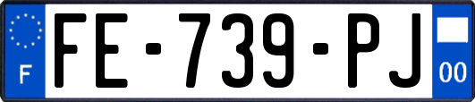 FE-739-PJ