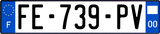 FE-739-PV