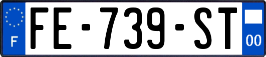 FE-739-ST