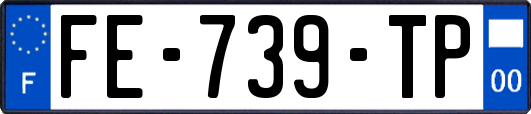FE-739-TP