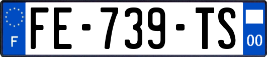 FE-739-TS