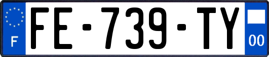 FE-739-TY