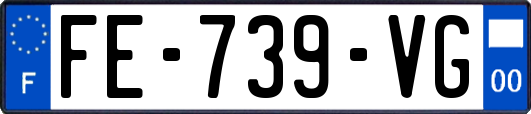 FE-739-VG
