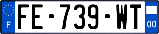 FE-739-WT