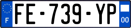 FE-739-YP