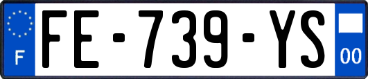 FE-739-YS