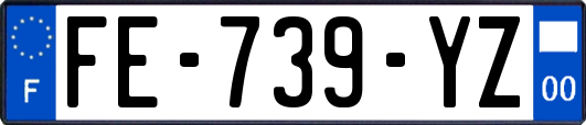 FE-739-YZ