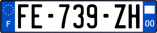 FE-739-ZH