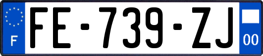 FE-739-ZJ