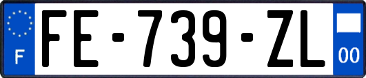 FE-739-ZL