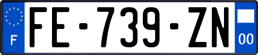 FE-739-ZN