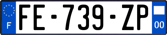 FE-739-ZP