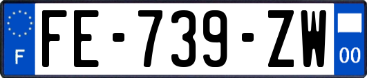 FE-739-ZW