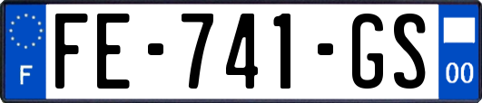 FE-741-GS