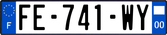FE-741-WY