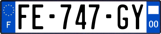 FE-747-GY