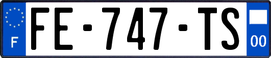FE-747-TS