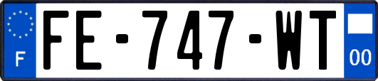 FE-747-WT