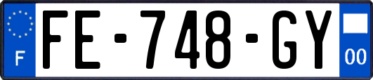FE-748-GY
