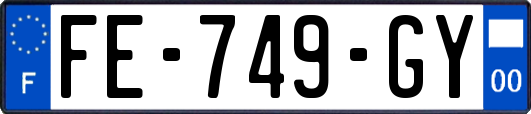 FE-749-GY