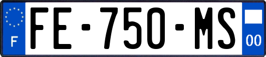 FE-750-MS