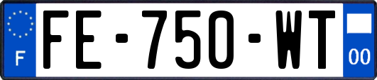 FE-750-WT