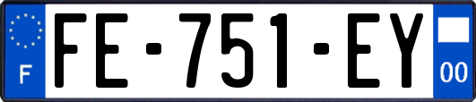 FE-751-EY