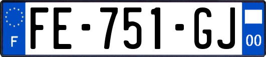 FE-751-GJ