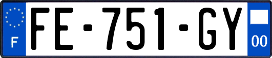 FE-751-GY