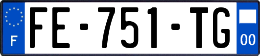 FE-751-TG