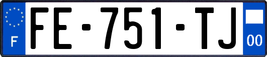 FE-751-TJ