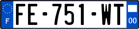 FE-751-WT