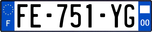 FE-751-YG