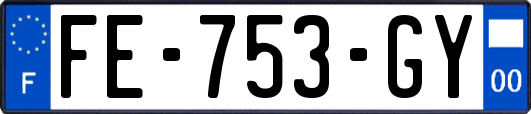 FE-753-GY