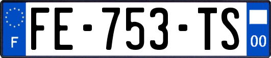 FE-753-TS