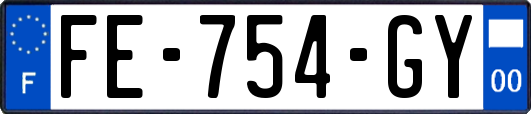 FE-754-GY