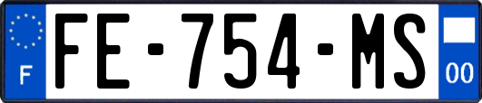 FE-754-MS